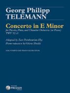 Concerto in E Minor 
