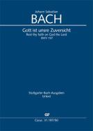 Rest thy faith on God the Lord BWV 197 Download