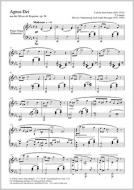 Agnus Dei (Messe de Requiem) 