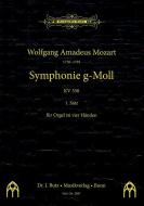Symphonie g-Moll KV 550 1. Satz 