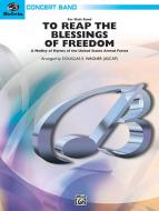 To Reap The Blessings Of Freedom 