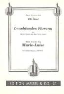 Leuchtendes Florenz 