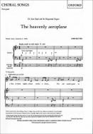 The Heavenly Aeroplane 