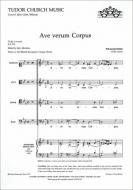 Ave Verum corpus 