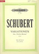 Variations on 'Trockne Blumen' D802 