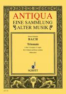 Triosonata C Major BWV 1037 Standard