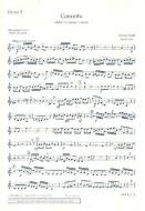 Concerto A Minor RV 461/PV 42 Standard