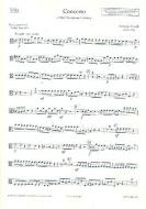 Concerto A Minor RV 461/PV 42 Standard