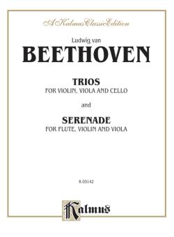 6. Serenade, Op. 25 in D Major (Violin) 