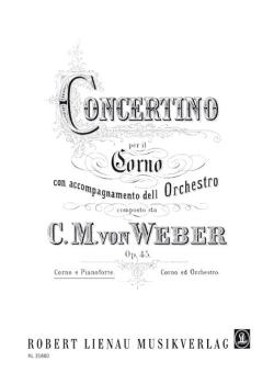 Concertino en mi mineur op. 45 