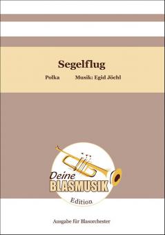 Segelflug 