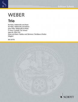 Trio en sol mineur op. 63 WeV P.14 Download