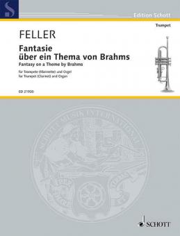 Fantasy on a Theme by Brahms Download
