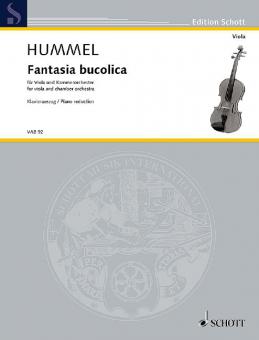 Fantasia bucolica op. 13f Download
