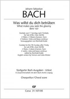 Was willst du dich betrüben 
