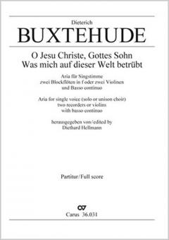 Was mich auf dieser Welt betrübt Standard