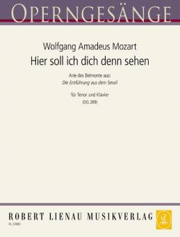 Hier soll ich dich denn sehen (Entführung) Download