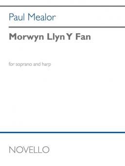 Morwyn Llyn y Fan 