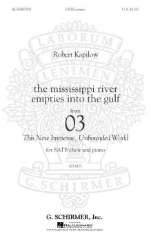 The Mississippi River Empties Into The Gulf 