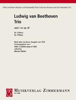 Trio d'après op. 87 Standard