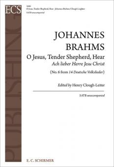 O Jesus So Tender 
