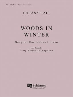 Woods in Winter 