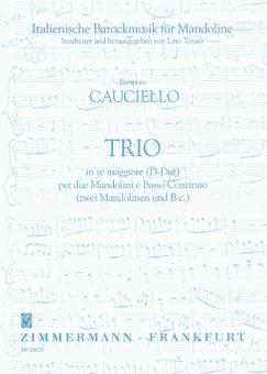 Trio en ré majeur 