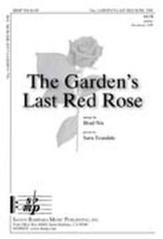 The Garden's Last Red Rose 