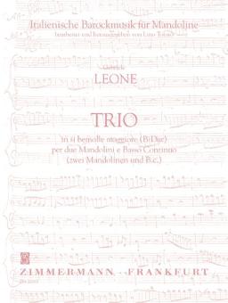 Trio en si bémol majeur 