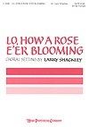 Lo, How a Rose E'Er Blooming 