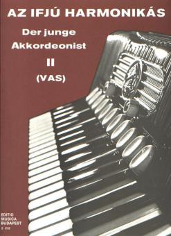 Der junge Akkordeonist 2 