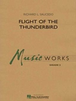 Flight of The Thunderbird Download