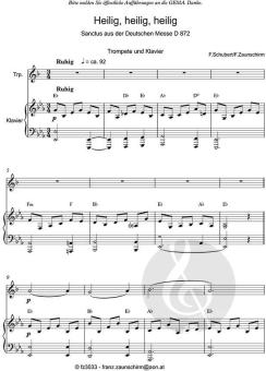 Zum Sanctus (Heilig, heilig) 