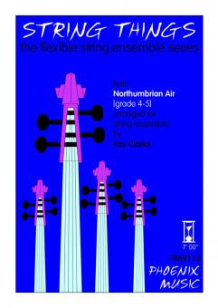 Northumbrian Air 