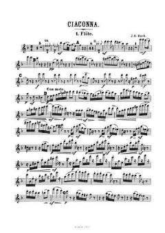 Chaconne de BWV 1004 pour orchestre (Arr. Raff) (parties) 