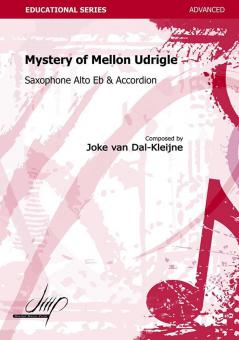 Mystery of Mellon Udrigle 