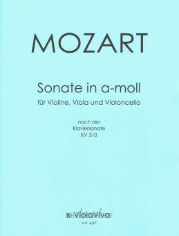 Sonata in a-minor, for Violin, Viola and Violoncello 