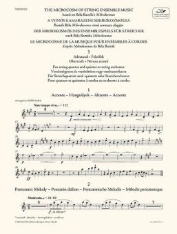 Le Microcosme de la Musique pour Ensembles à Cordes 3 