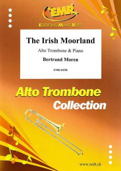 The Irish Moorland Standard