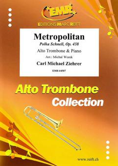 Metropolitan Standard