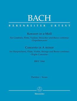 Concerto en la mineur BWV 1044 Standard