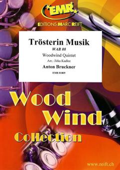 Musique de réconfort WAB 88 Download