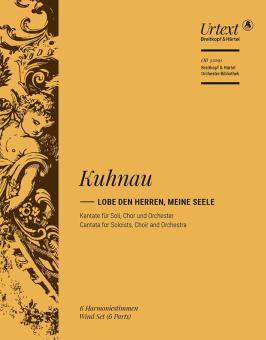 Lobe den Herren, meine Seele 
