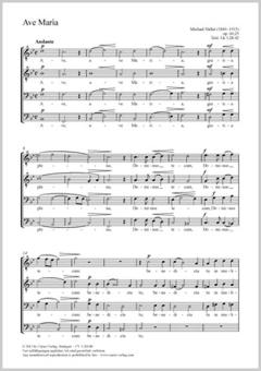 Ave Maria B-Dur op. 60, 25 Download