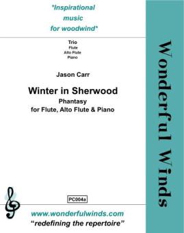 Winter in Sherwood 
