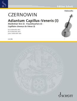Adiantum Capillus-Veneris I - Fougère à balais I Standard