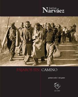 Pájaros sin camino 