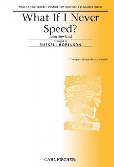 What If I Never Speed? 