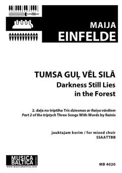 Tumsa guļ vēl silā 