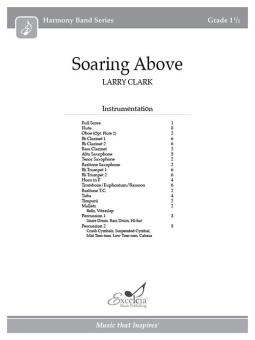 Soaring Above 